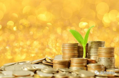 投資23年，我一直堅守的四條紅線