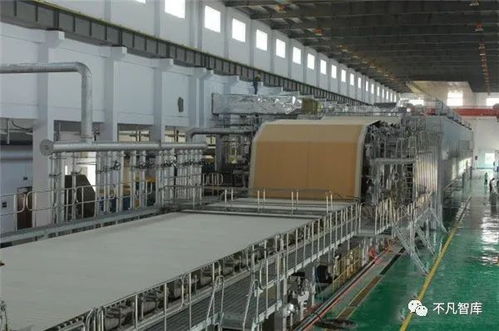 紙價“漲聲”再起 是消費囤貨，還是理性應對？——兼論個人投資管理的視角